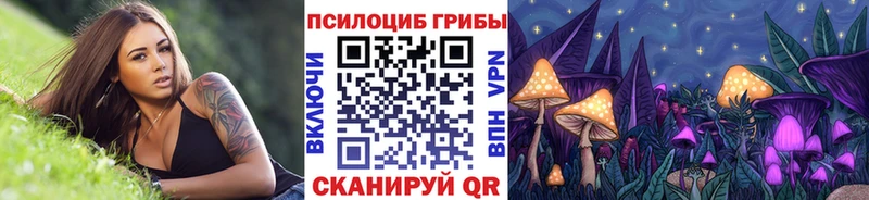 купить закладку  Октябрьск  Псилоцибиновые грибы Psilocybine cubensis 